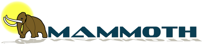 Math Mammoth Changed my Life!