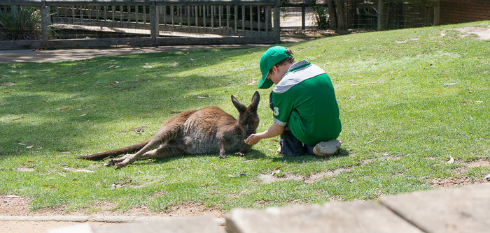 St Patrick's Day with the Natives.