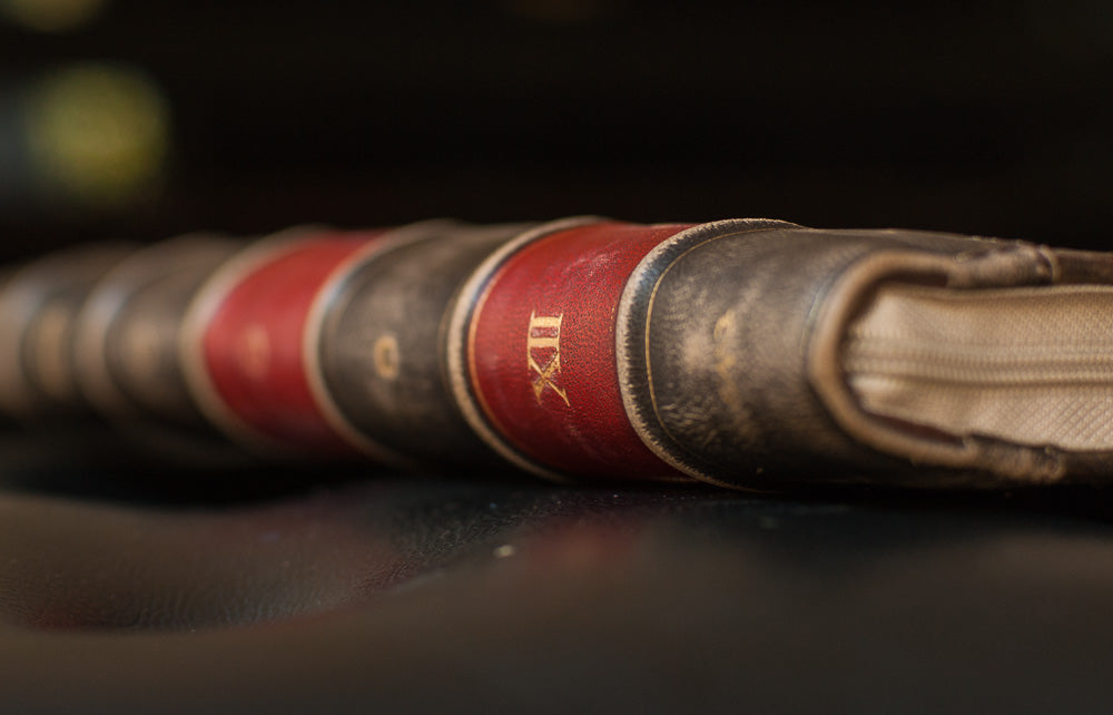 BookBook Case Review
