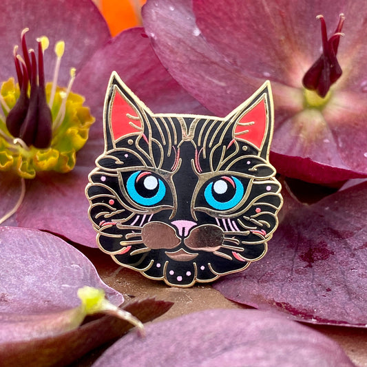Kaleidocat