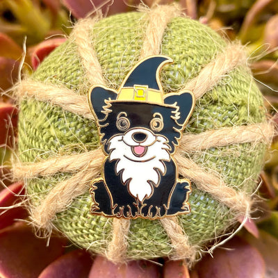 Halloween Witch Dog (Second)
