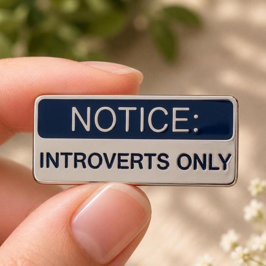 Notice Introverts Only enamel pin, funny silver sign pin for introverts