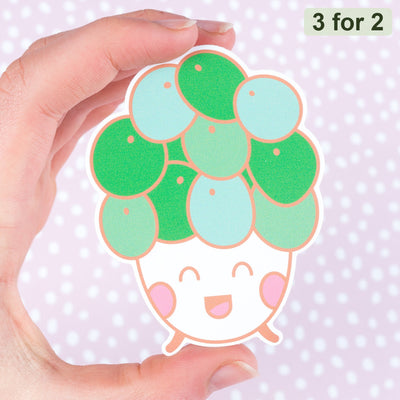 Pilea Sticker